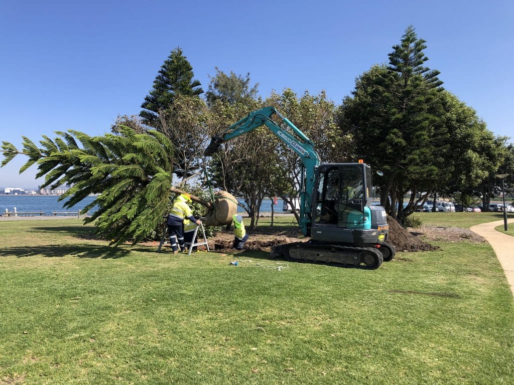 Park Landscaping &raquo;